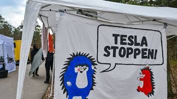 umweltbündnis demonstriert gegen tesla in grünheide