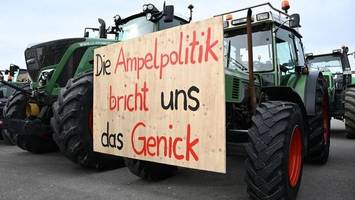 bauernverband: kompromissbereitschaft bei agrardiesel