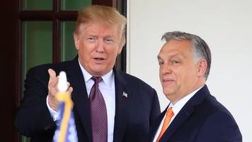 donald trump lobt viktor orbán überschwänglich – biden kritisiert treffen