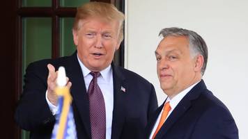 Orban lobt Trump als «Präsident des Friedens»
