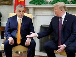Nach Treffen in Mar-a-Lago: Orban: Trump wird keinen Penny für Ukraine-Krieg ausgeben