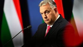 Trump will keinen Penny für Ukraine-Krieg zahlen - so Orban