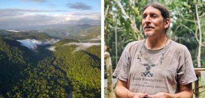 Regenwald in Belize: Was die Welt von dem Öko-Wunderland lernen kann