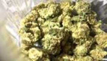 drogen: cannabis-befürworter spammen landtags-grüne mit mails zu