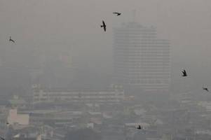 dicke luft in chiang mai: extrem-smog in touristenstadt