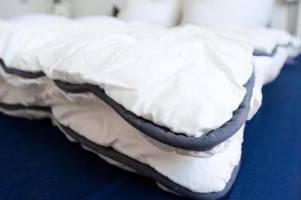 bettwanzen finden: hier verstecken sie sich