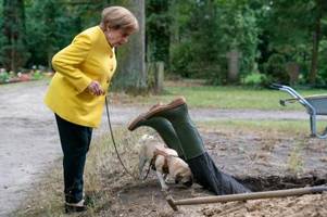 Krimikomödie Miss Merkel bei RTL