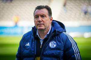 Schalke-Sportdirektor Wilmots: Keine Trainerdiskussion