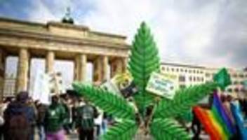 Cannabis im Vermittlungsausschuss: SPD wirft Union bei Cannabis-Legalisierung Verfahrenstricks vor