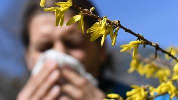 Allergiker könnten bald ganzjährig belastet sein