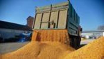 Landwirtschaft: EU will wieder Zölle auf Agrarprodukte aus der Ukraine erheben