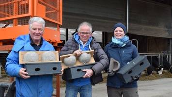 Milchhof Reitbrook: Neues Heim für Schwalben und Mauersegler