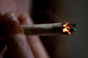 Streit um neues Cannabis-Gesetz: Bundesregierung verspricht Ländern Gesetzesänderungen