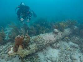 HMS Tyger sank vor 282 Jahren: Wrack vor Florida ist verschollenes britisches Kriegsschiff