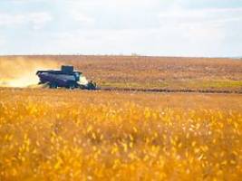 Importe sind deutlich gestiegen: EU bereitet höhere Zölle auf russisches Getreide vor