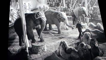 Hollywood-Zirkus im Kreis: Als Elefanten durchs Dorf trampelten