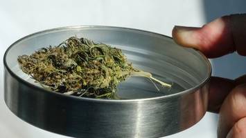 stelle für suchtfragen: cannabis-gesetz löst nicht probleme