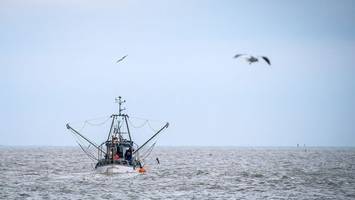 Bund gibt drei Millionen Euro Beihilfe für Fischereibetriebe