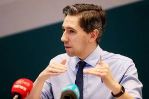 Wird Minister Harris neuer Regierungschef in Irland?