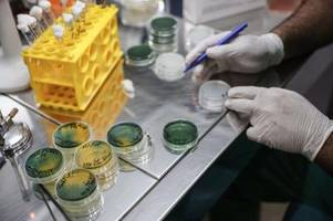 zahl der cholera-fälle steigt weltweit rasant – impfstoff fehlt