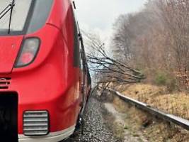 Mann erleidet wohl Herzinfarkt: Bahn mit 250 Fahrgästen prallt gegen gefällten Baum
