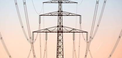 BASF-Chef Martin Brudermüller verlangt Verstaatlichung der Stromnetze