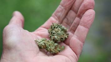 Cannabis-Streit: Land will sich im Bundesrat enthalten