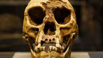 Wie der Urmensch vor 900.000 Jahren seiner Auslöschung entkam