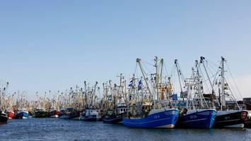 FDP fordert vom Land Zukunftsperspektive für Küstenfischerei