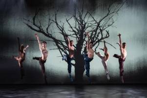 wie ein wilder sturm: ballettpremiere dimensions of dance. part 5