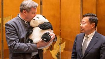 Panda-Diplomatie bei Söders Wirtschaftsvisite in China