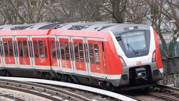 Mann belästigt Frau in der S-Bahn sexuell und verletzt Beamten