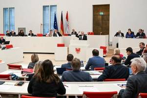 umfrage-ergebnisse zur landtagswahl in brandenburg 2024: wer liegt in den umfragen aktuell vorn?