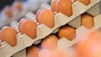 Bauernverband: Jedes vierte Ei in Deutschland aus Rheinland-Pfalz