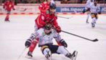 deutsche eishockey liga: ex-stanley-cup-sieger cumiskey verlängert bei der deg