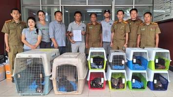 Spektakuläre Rettungsaktion seltener Tierbabys in Laos