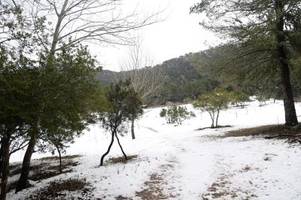 Schnee auf Mallorca: Hält der Wintereinbruch an?