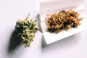 Cannabis und Jugendliche: Experten fordern mehr Aufklärung