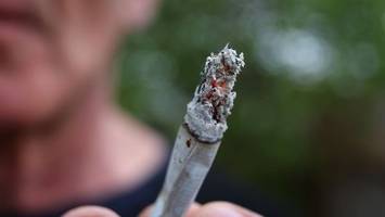 ministerium erwartet mehr verkehrsunfälle wegen cannabis