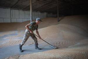 EU-Staaten: Weniger ukrainische Agrarwaren zollfrei in EU