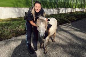 polizei fängt entlaufenes pony ein