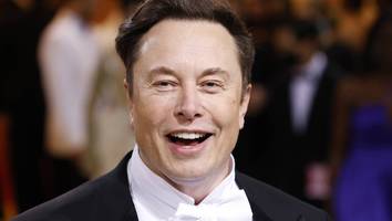 Rettungsaktion bei X? - Elon Musk reagiert auf sinkende Nutzerzahlen mit Premium-Vorteilen