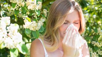 Darmbakterien und Allergien - Heuschnupfen bekämpfen: Die Lösung sitzt im Darm