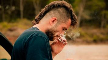 Expertengruppe macht Vorschlag - Cannabis-Legalisierung: So viel THC im Blut soll künftig am Steuer erlaubt sein