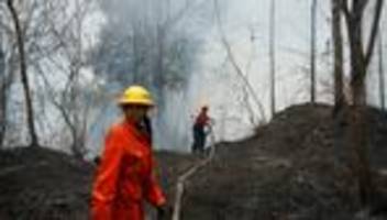 südamerika: rekordwert von über 30.000 brandherden in venezuela