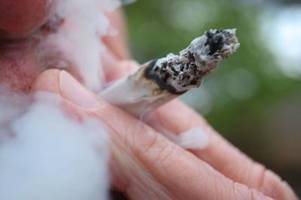Cannabis: Experte hält Gefahr durch Passivrauchen für gering