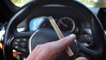 kiffen im staßenverkehr - experte erklärt, welche thc-grenzwerte im auto gelten und wie cannabis-konsum kontrolliert wird