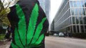 verkehr: kritik an möglicher erhöhung der cannabis-grenzwerte