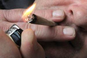 cannabis-legalisierung dürfte schulen herausfordern