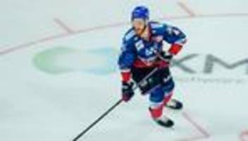 eishockey: ex-nhl-profi holzer nächster abgang der adler mannheim